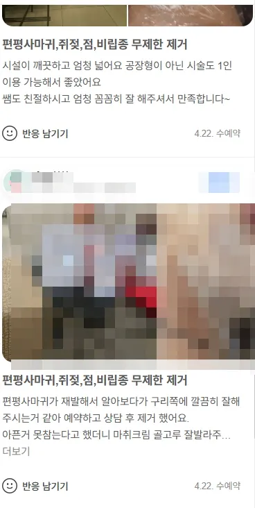 편평사마귀 고객 후기 11
